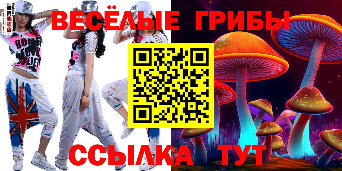 Удомля  Галлюциногенные грибы мицелий  Галлюциногенные грибы Psilocybe  Вход с VPN 