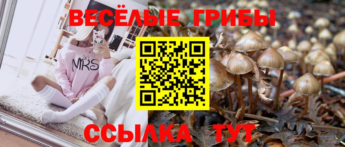Псилоцибиновые грибы Psilocybe Удомля